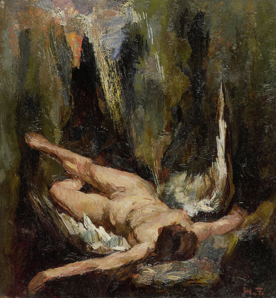 Detail of The fallen angel by Willem de Zwart