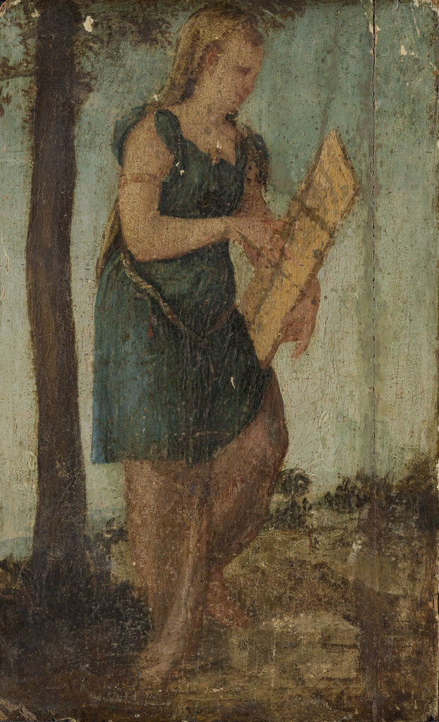Detail of Woman with Shield by Circle of Lambert Sustris