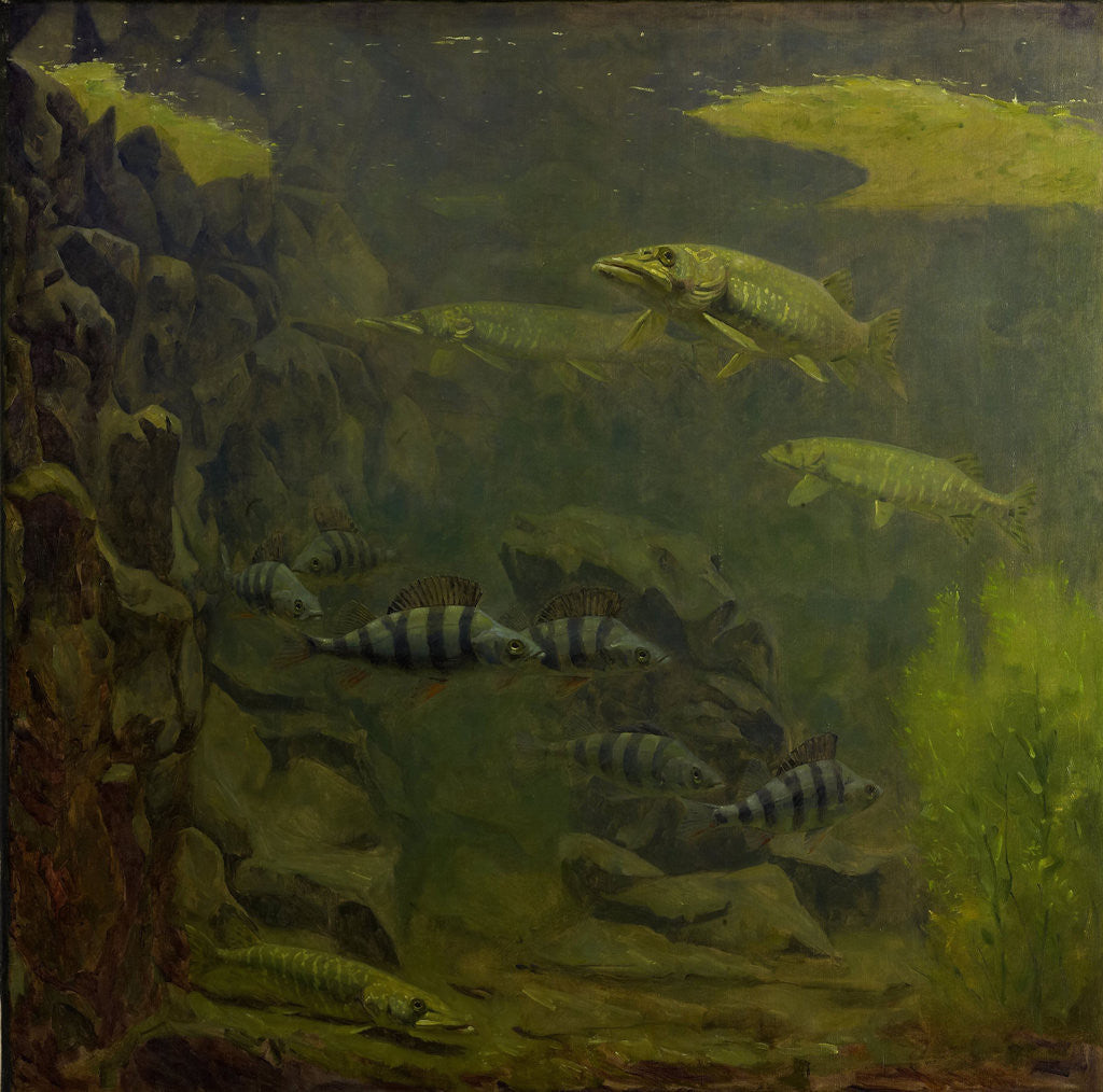Detail of Pike and bass in an aquarium by Gerrit Willem Dijsselhof