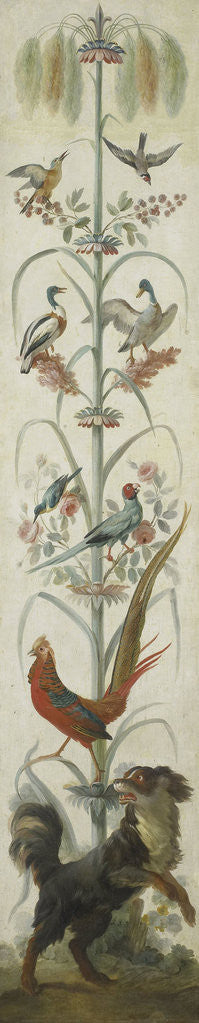 Detail of Decorative Depiction with Plants and Animals by Anonymous