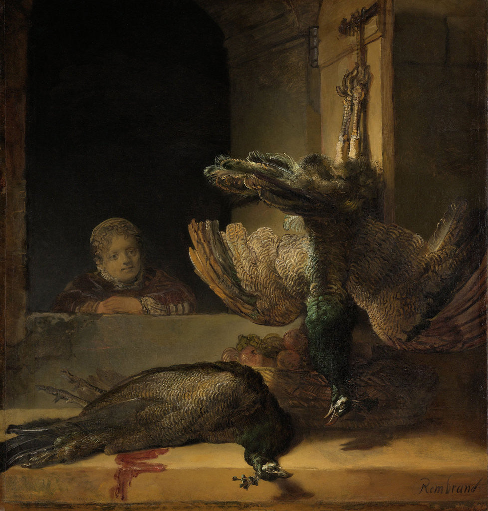 Detail of Still Life with Peacocks by Rembrandt Harmensz. van Rijn