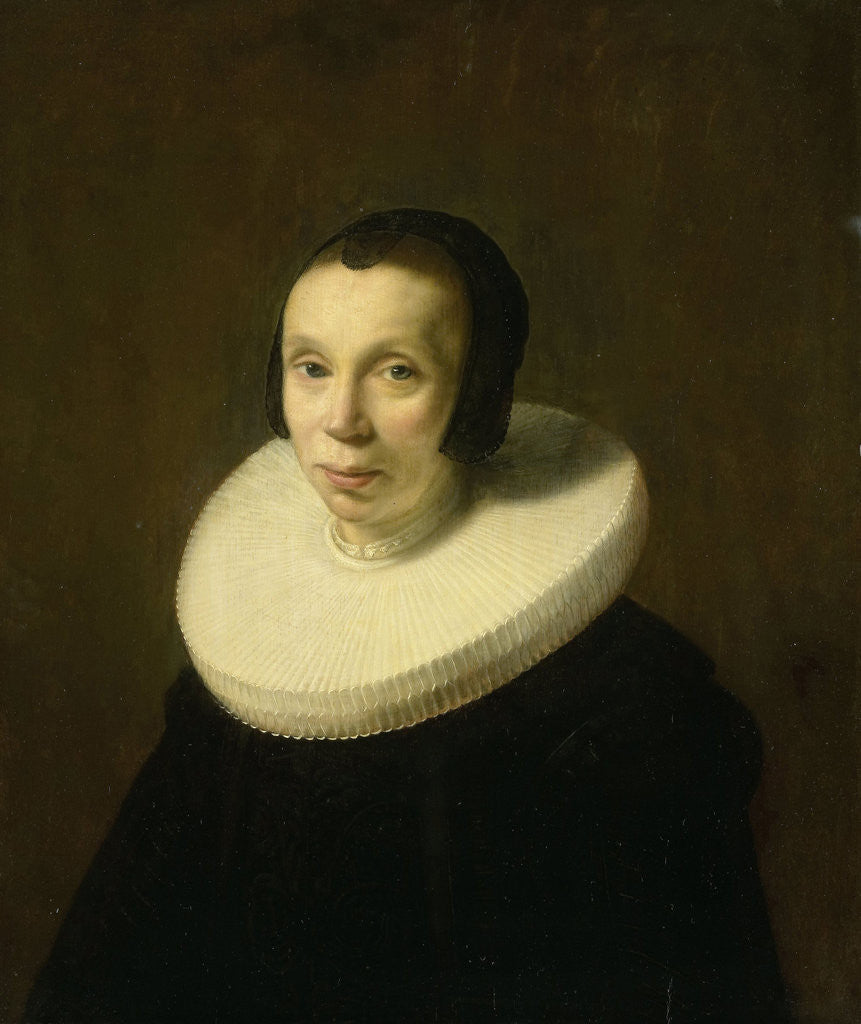 Detail of Portrait of a Woman by Abraham de Vries