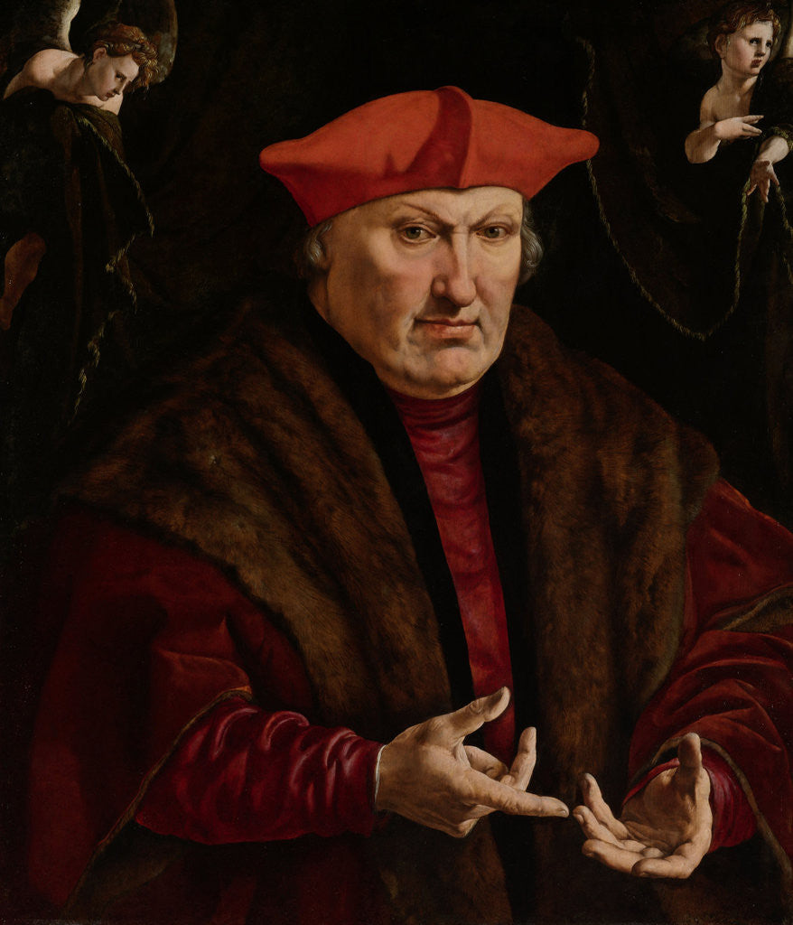 Detail of Portrait of Erard de la Marck by Jan Cornelisz Vermeyen