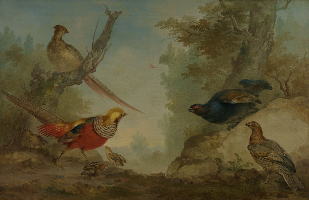 Detail of Pheasants by Aert Schouman