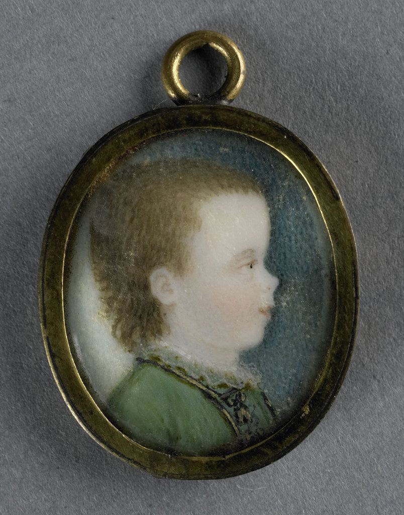 Detail of Willem George Frederik by Pieter Lesage