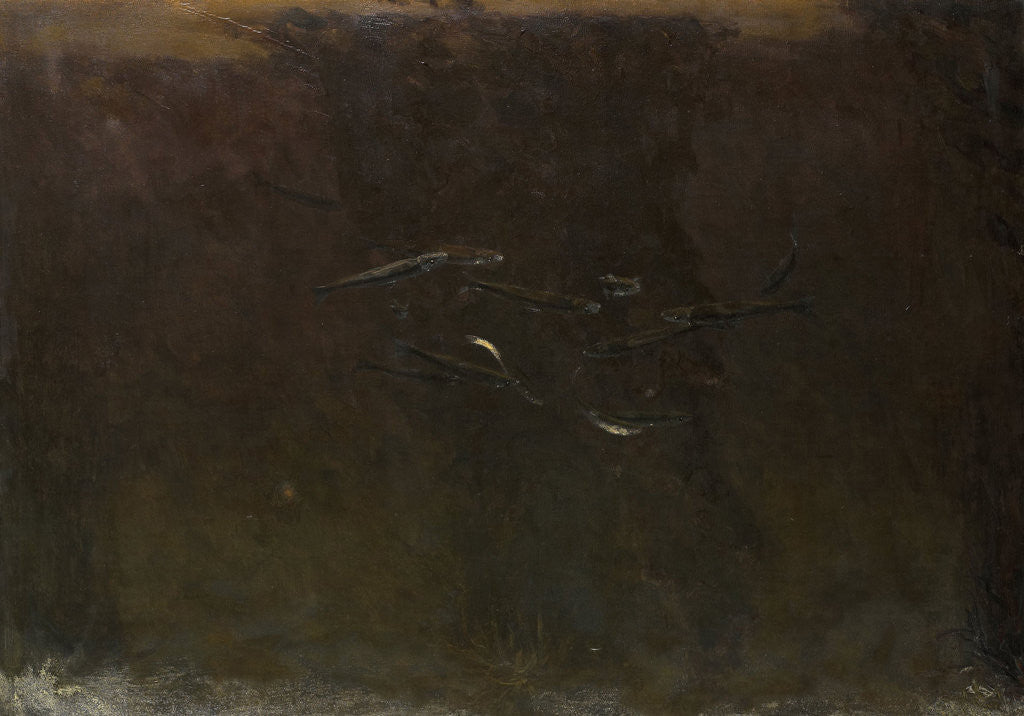 Detail of Fish in an aquarium by Gerrit Willem Dijsselhof