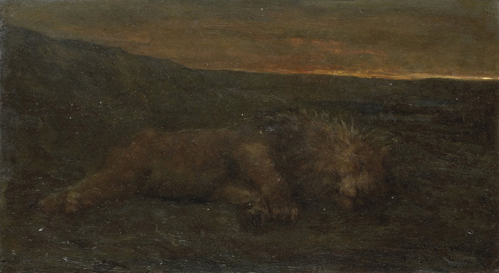 Detail of Sleeping Lion by night by John Macallan Swan