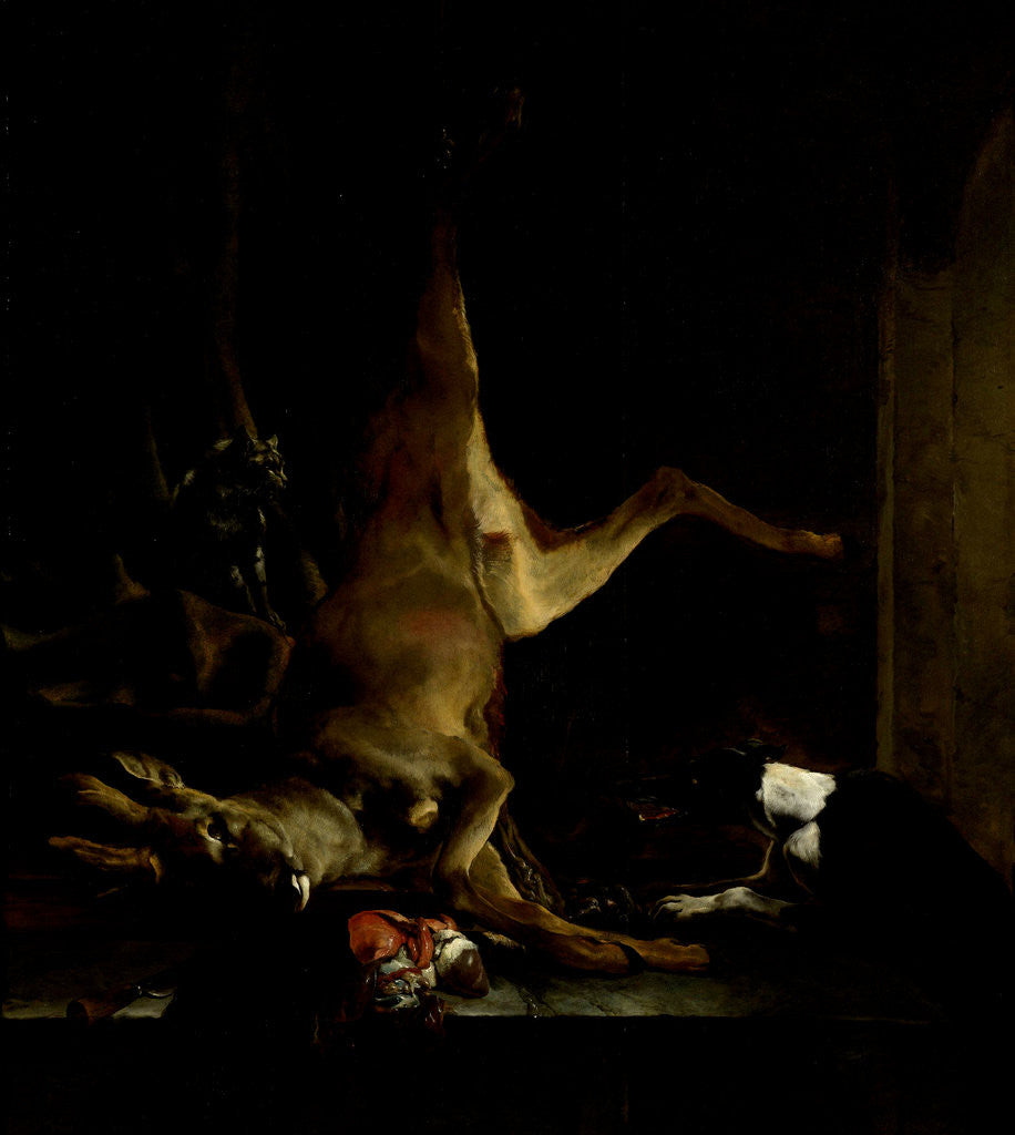 Detail of A Dog and a Cat near a partially disembowelled Deer by Jan Baptist Weenix