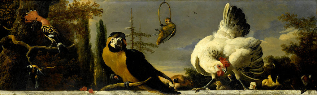 Detail of Birds on a Balustrade by Melchior d' Hondecoeter