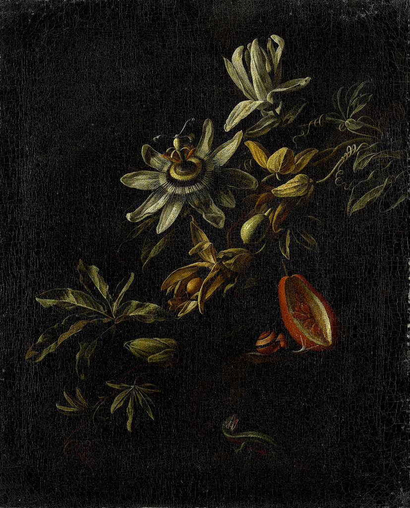 Detail of Still Life with Passion Flowers by Elias van den Broeck