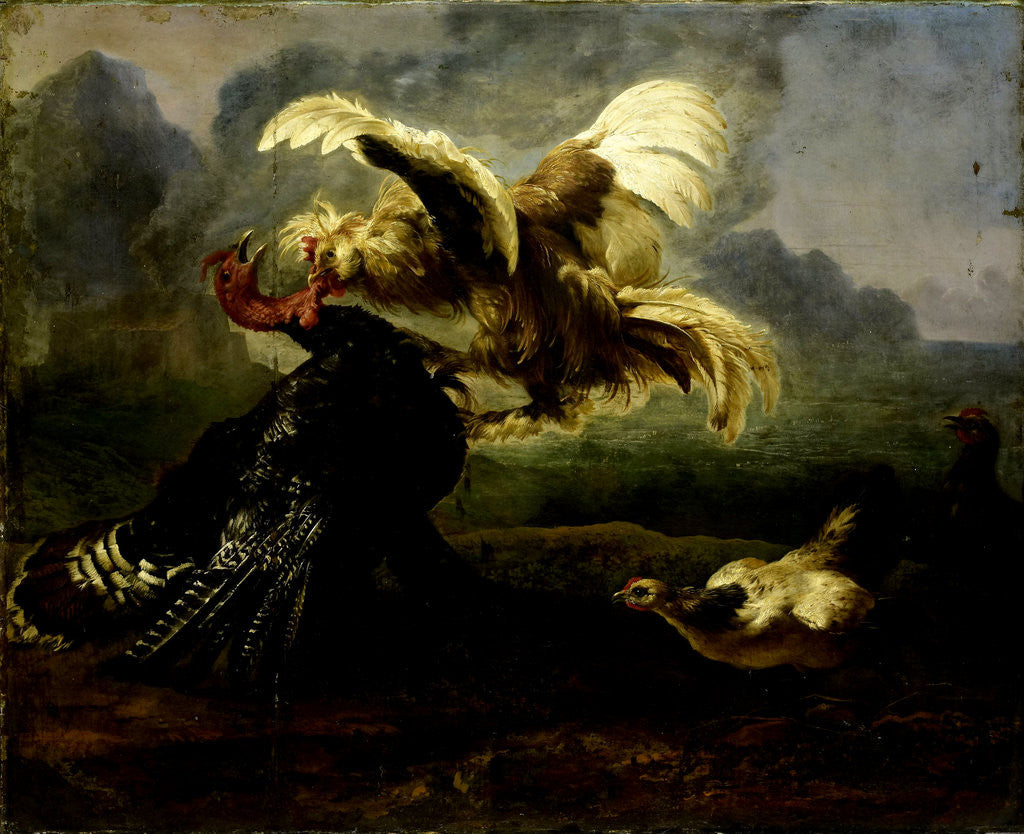 Detail of Fighting Birds by Anonymous
