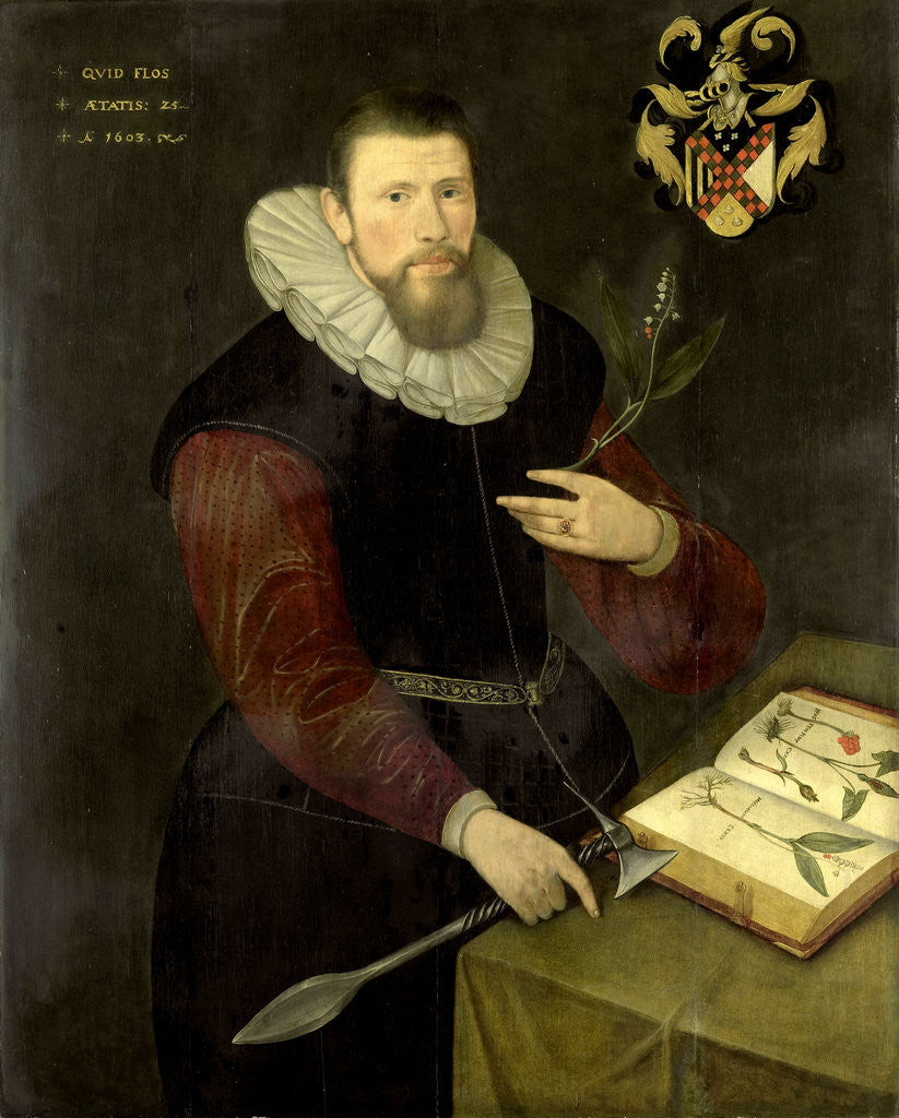 Detail of Portrait of a Botanist by Anonymous