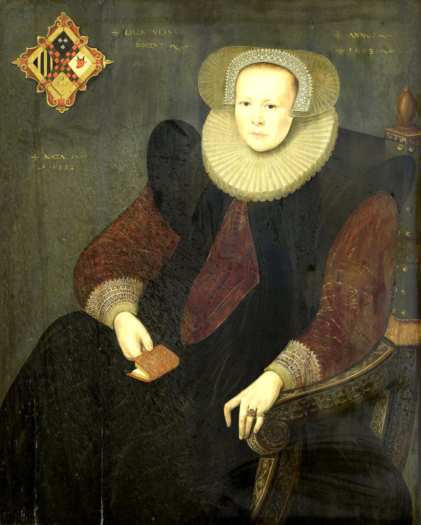 Detail of Portrait of a Woman by Anonymous