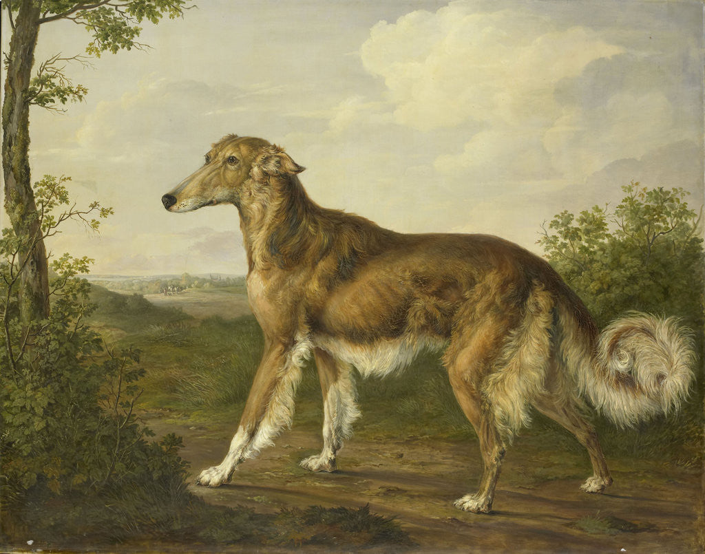 Detail of Siberian Greyhound by Jan Dasveldt