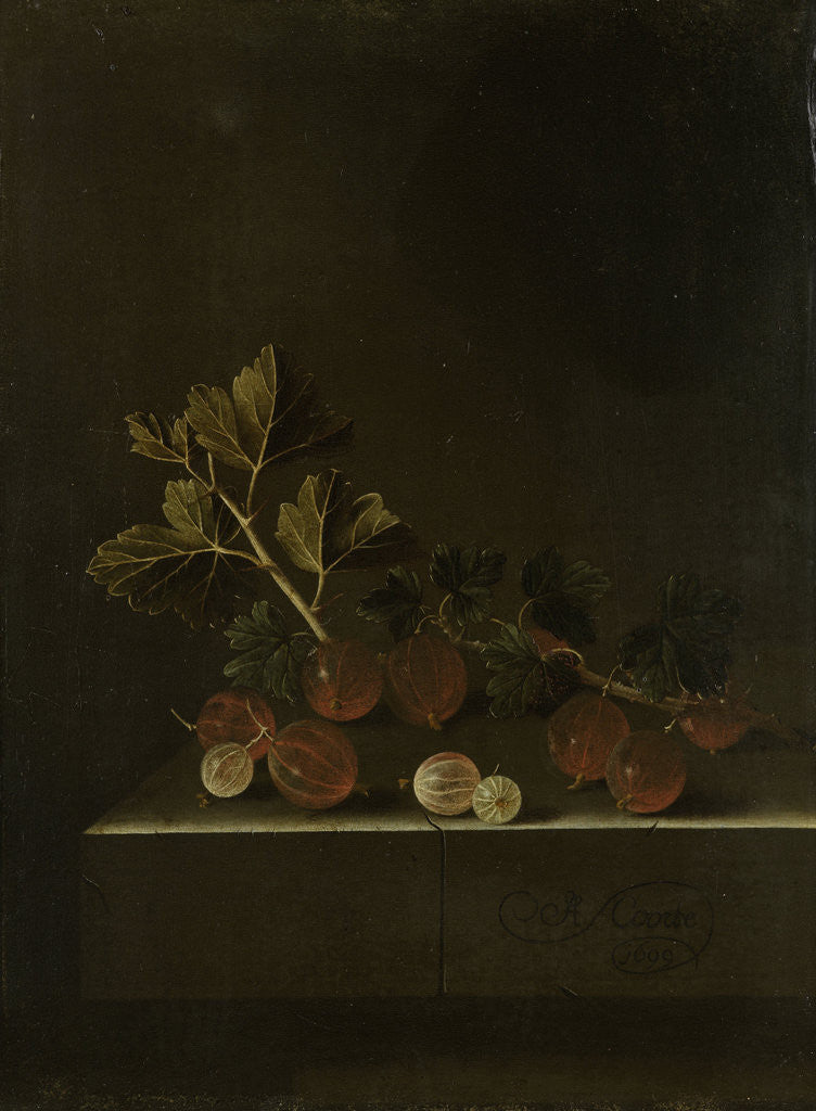 Detail of A Sprig of Gooseberries on a Stone Plinth by Adriaen Coorte
