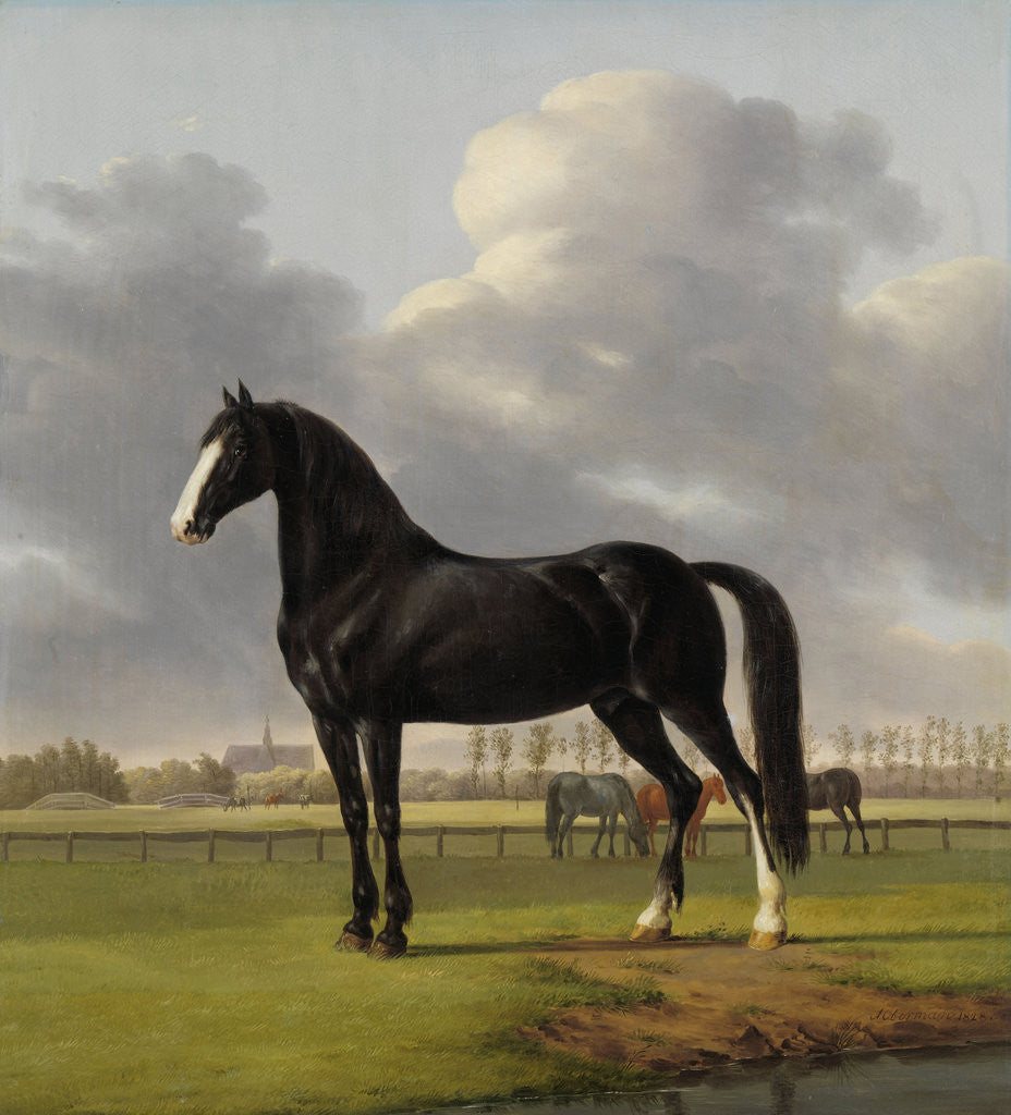 Detail of Adriaan van der Hoop’s Trotter ‘De Vlugge’, The Fast One in a Meadow by Anthony Oberman