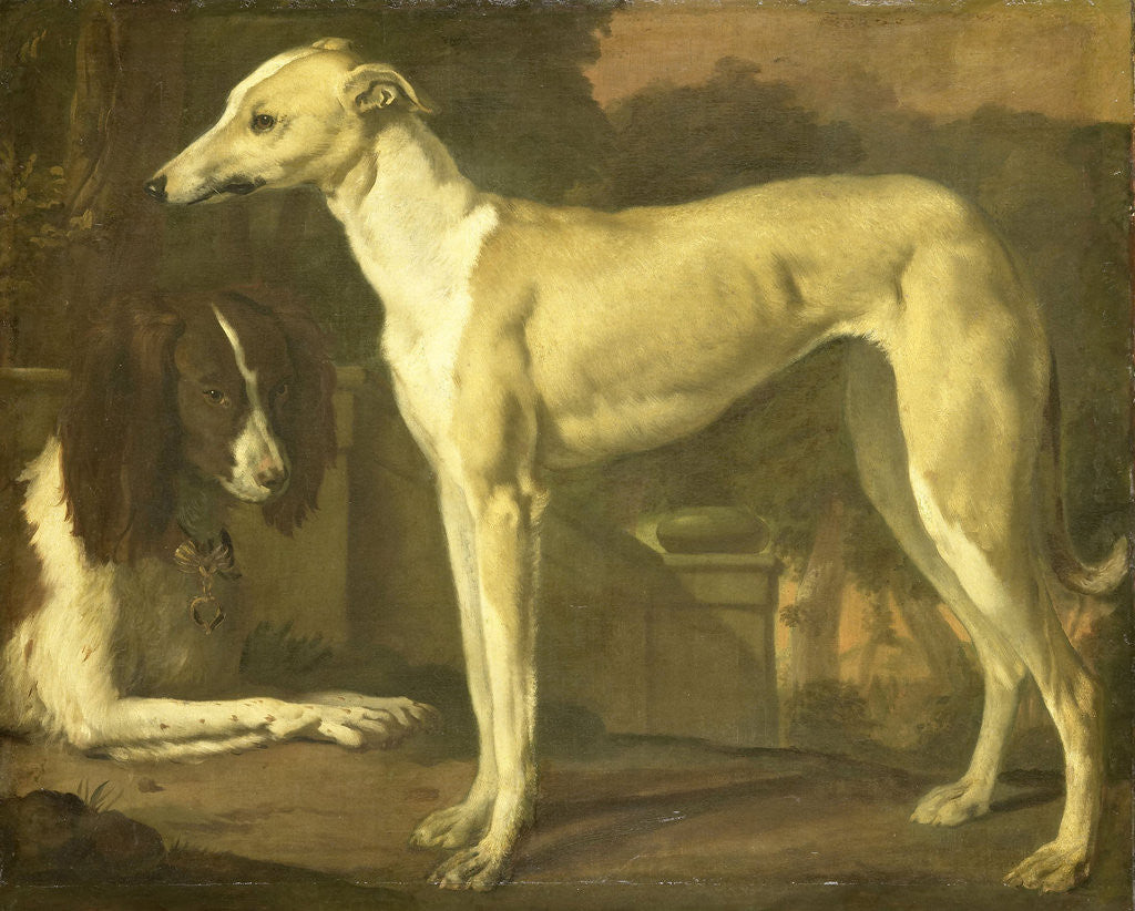 Detail of Portrait of a Greyhound and Spaniel by Jan Weenix