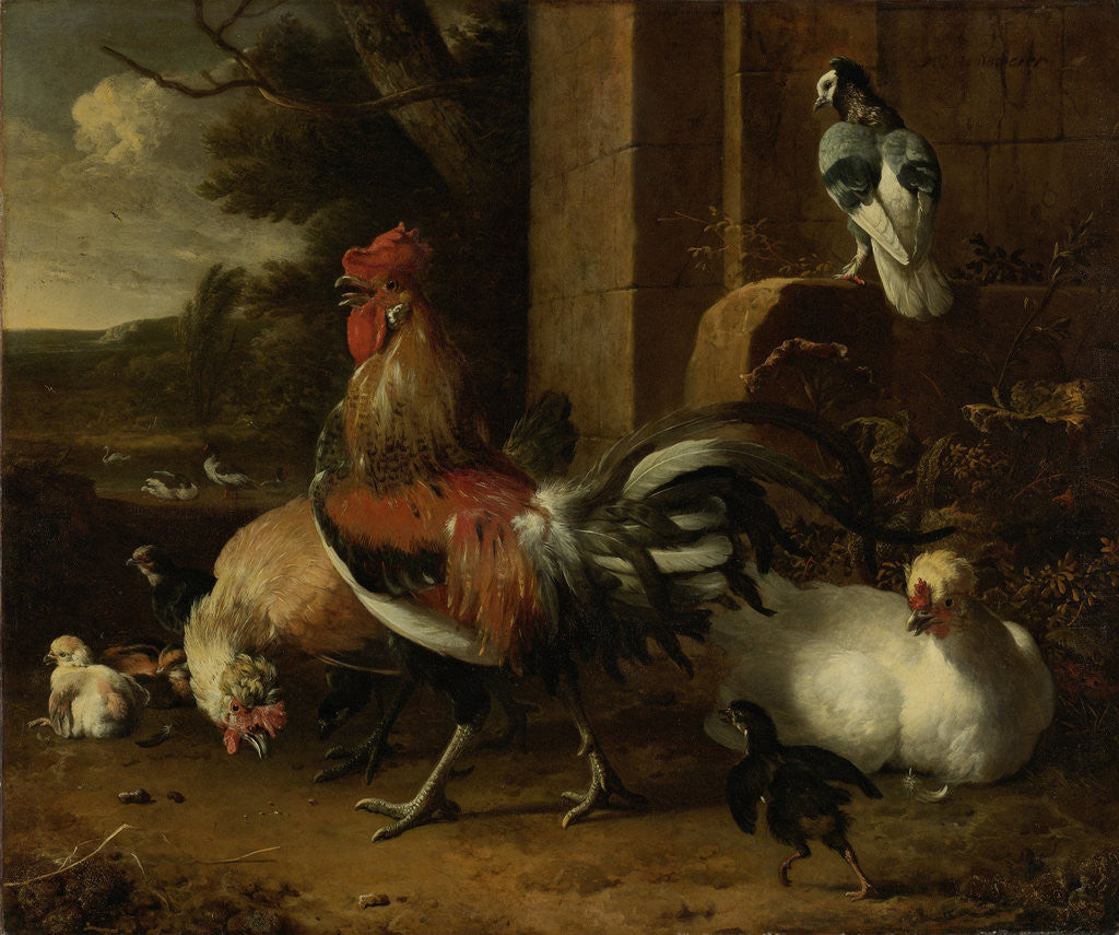 Detail of Poultry Yard by Melchior d' Hondecoeter