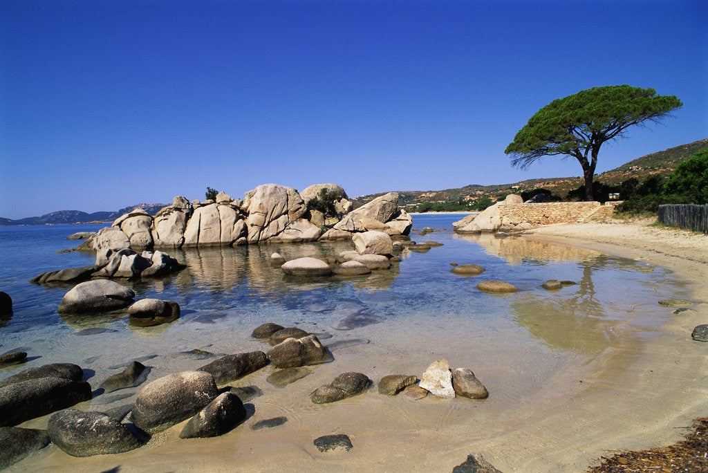Detail of Palombaggia Beach by Anonymous