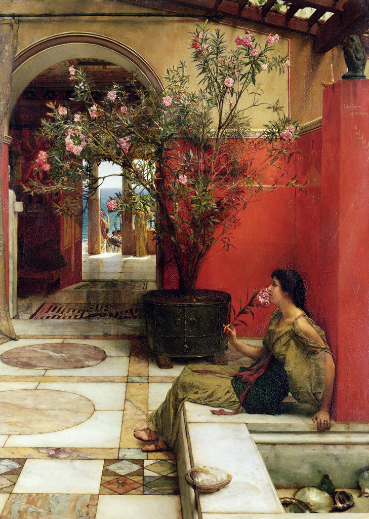 Detail of An Oleander, 1882 by Lawrence Alma-Tadema