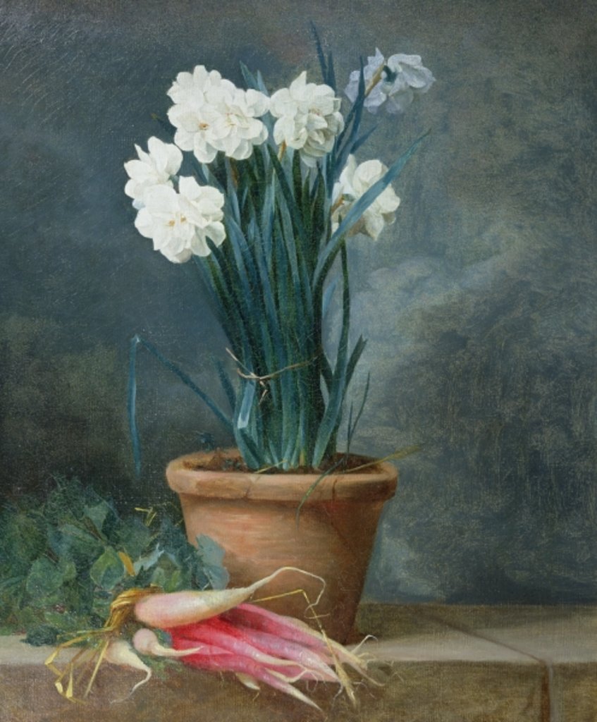 Detail of Still Life of Narcissi in a Terracotta Pot by Guillaume-Thomas-Raphael Taraval