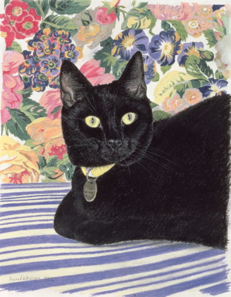 Detail of Black Cat by Anne Robinson