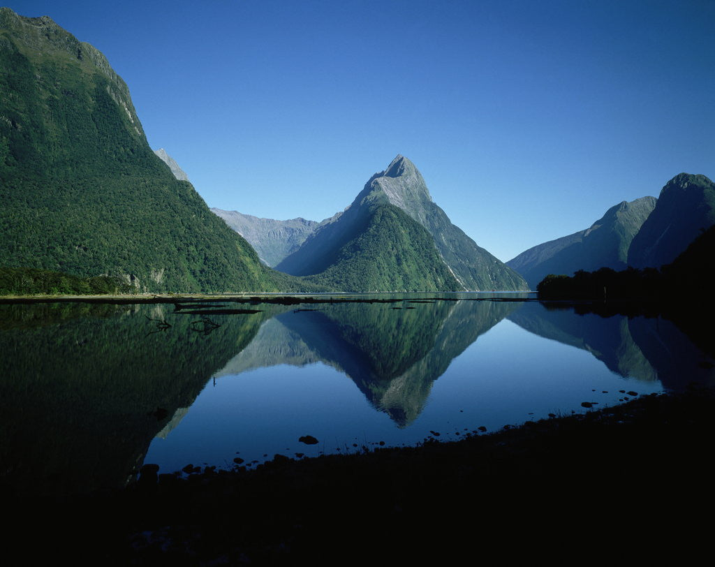 Detail of Milford Sound, New Zealand by Anonymous