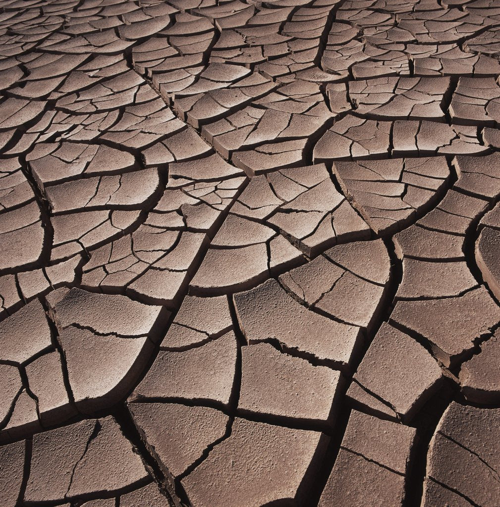 Detail of Deep Cracks in the Desert by Corbis