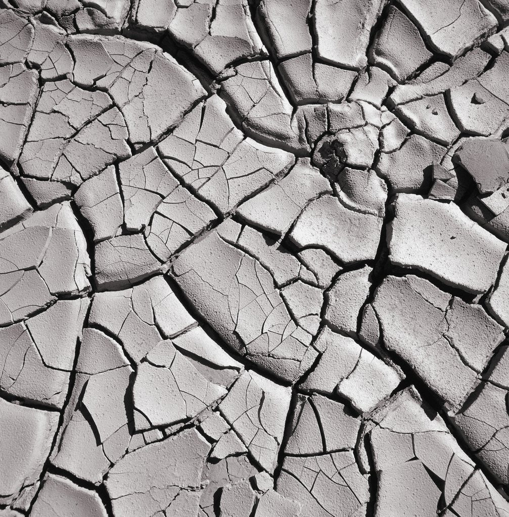 Detail of Cracked Desert Mud by Anonymous