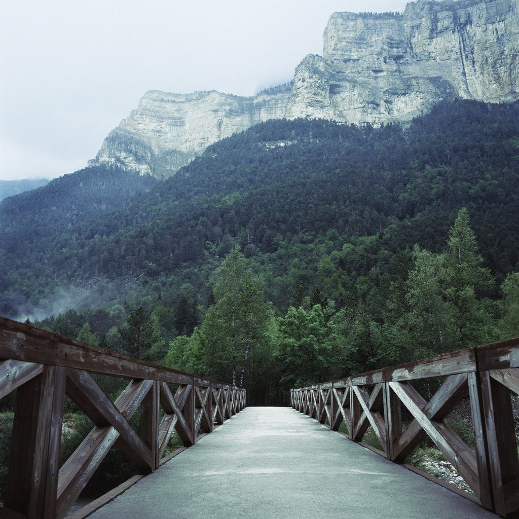Detail of Footbridge Spanning the Base of a Valley by Anonymous