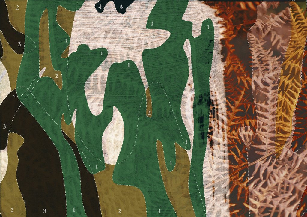 Detail of Camouflage Diagram Over Dry Ferns by Anonymous