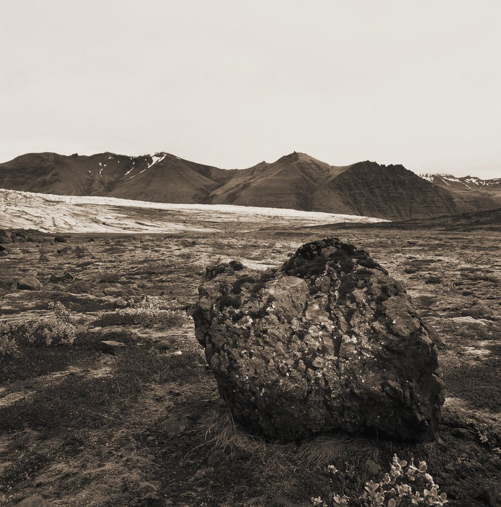 Detail of Boulder in Glacial Till by Anonymous