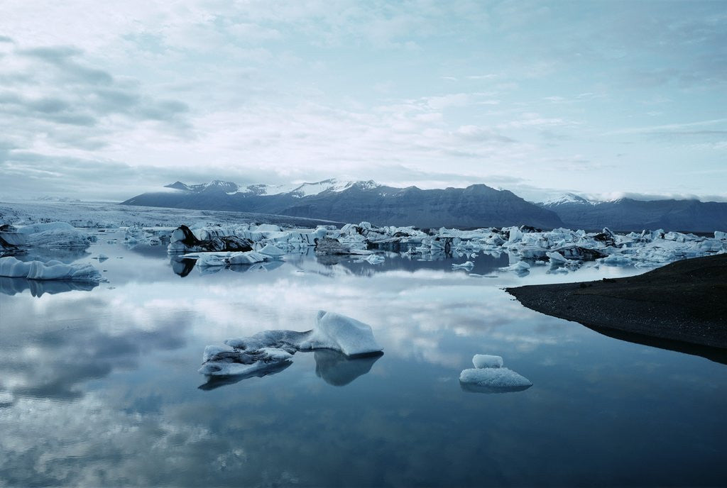 Detail of Bergy Bits Near Pack Ice by Anonymous