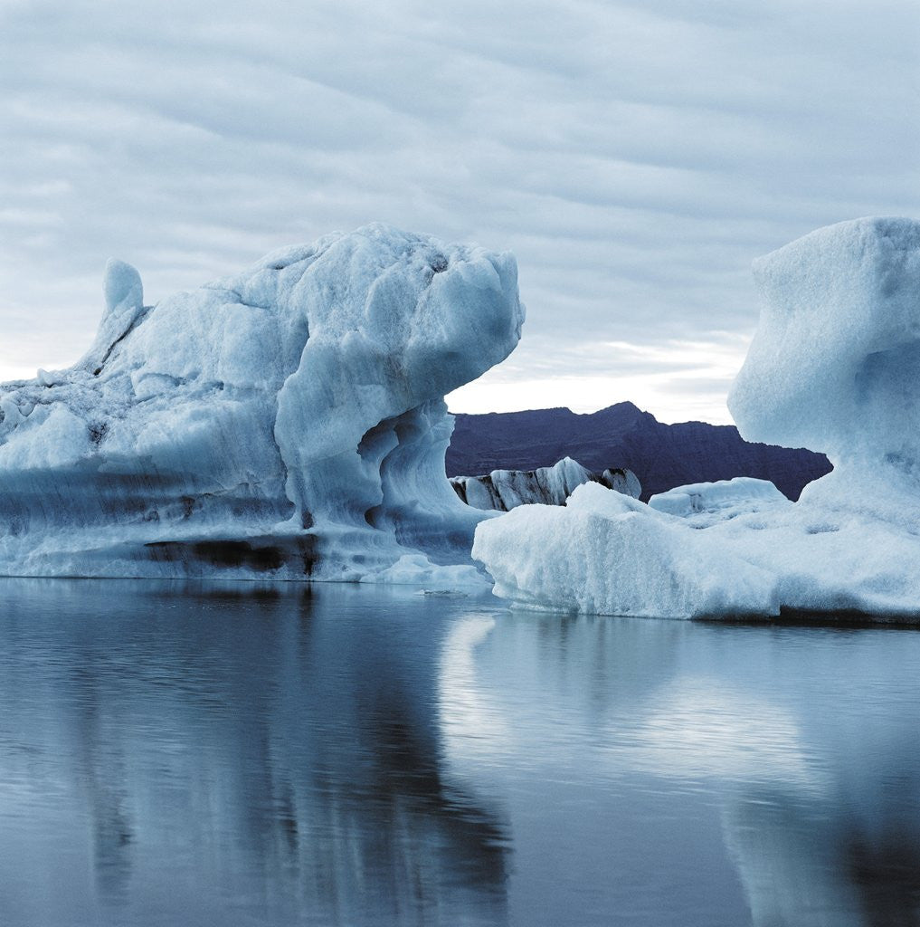 Detail of Icebergs Reflected in Water by Anonymous