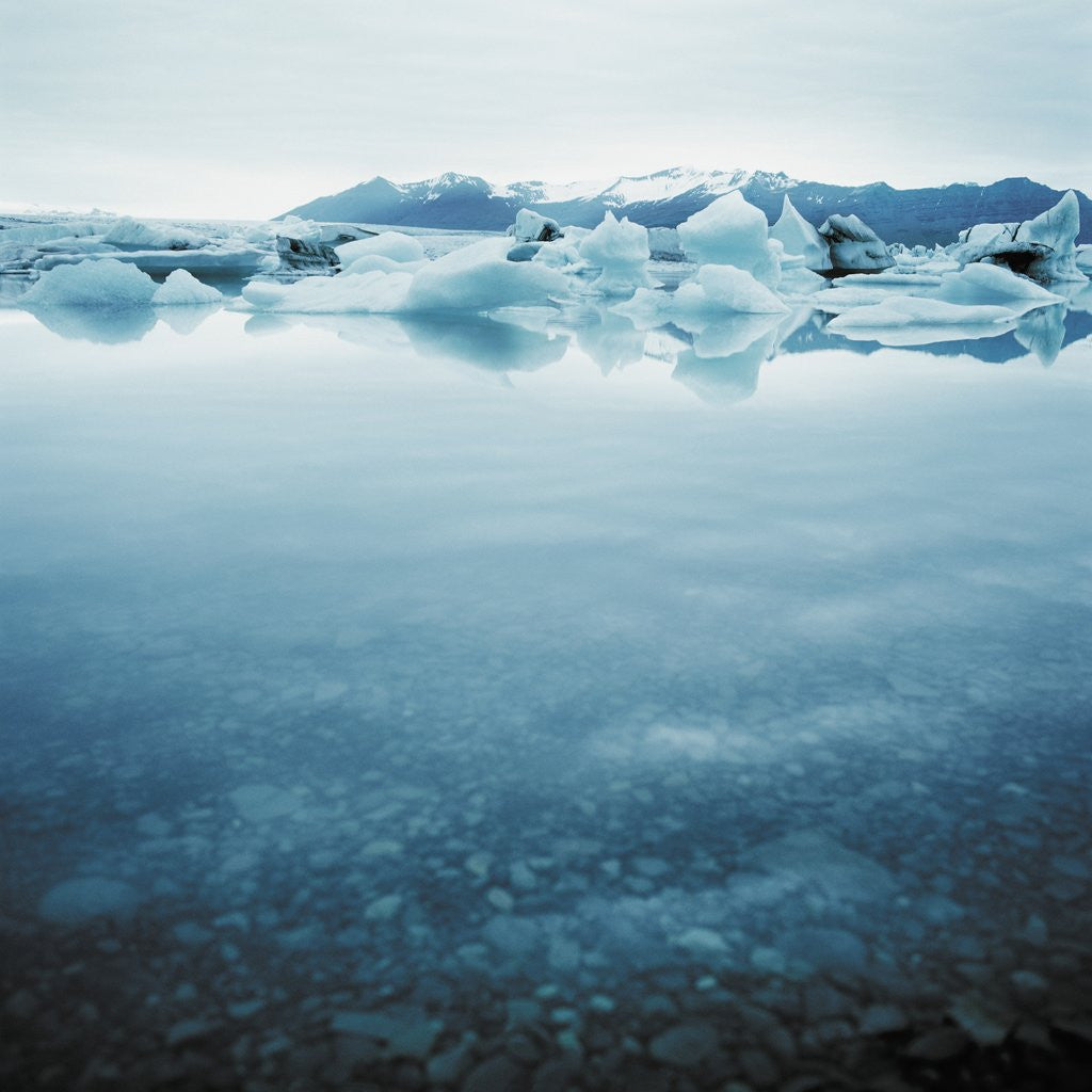 Detail of Bergy Bits Near Pack Ice by Anonymous
