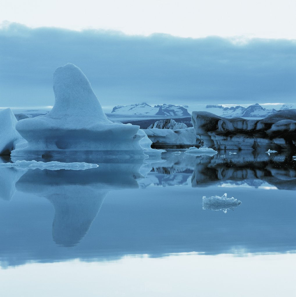 Detail of Iceberg Shaped Like a Whale Fin by Anonymous