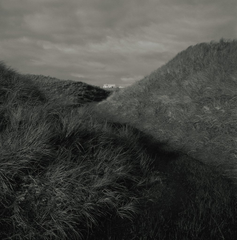 Detail of Grass Covered Hills by Anonymous