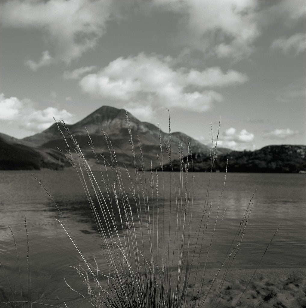 Detail of Mountain and Lake by Anonymous