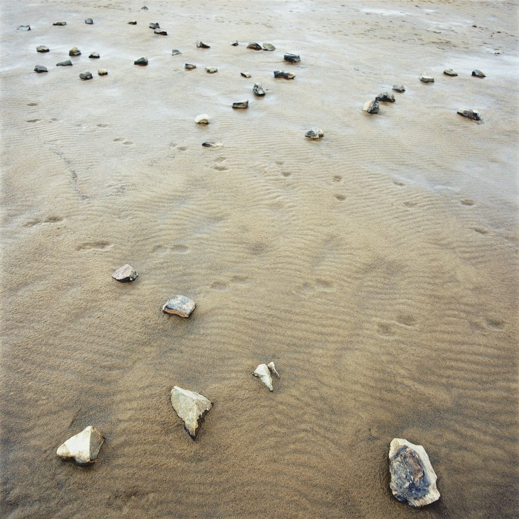 Detail of Rock-Strewn Beach by Anonymous