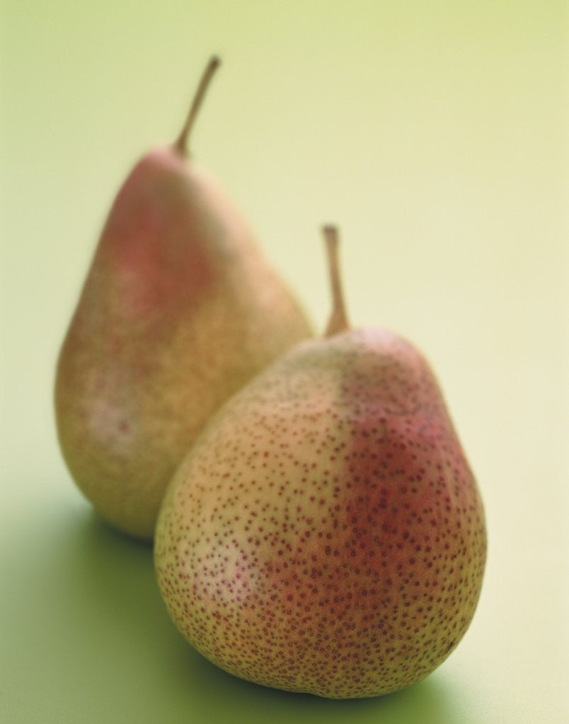 Detail of Two Pears on a Green Background by Corbis