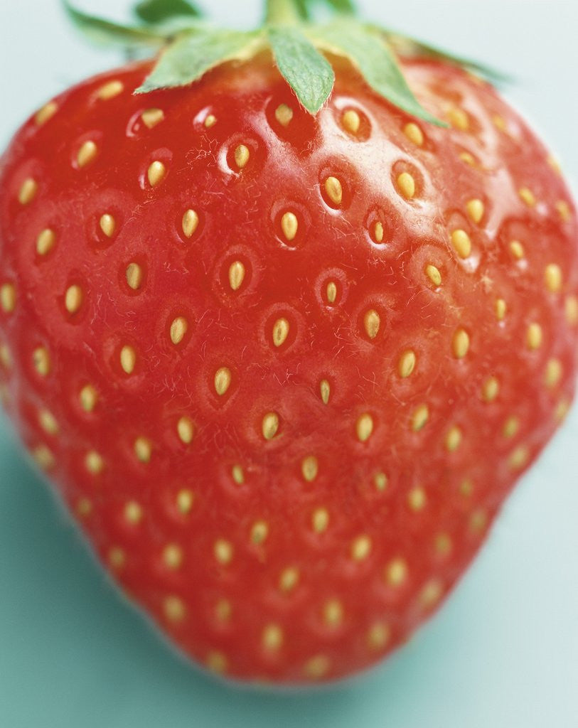 Detail of Close-up of a Strawberry by Anonymous