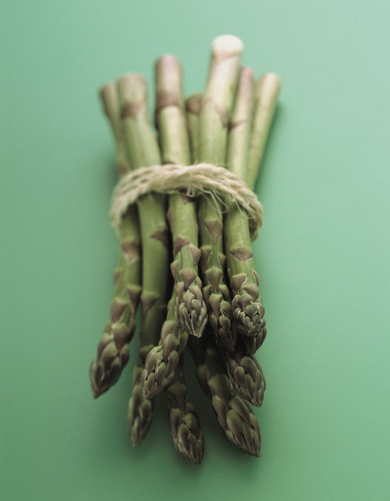 Detail of Bunch of Asparagus by Corbis