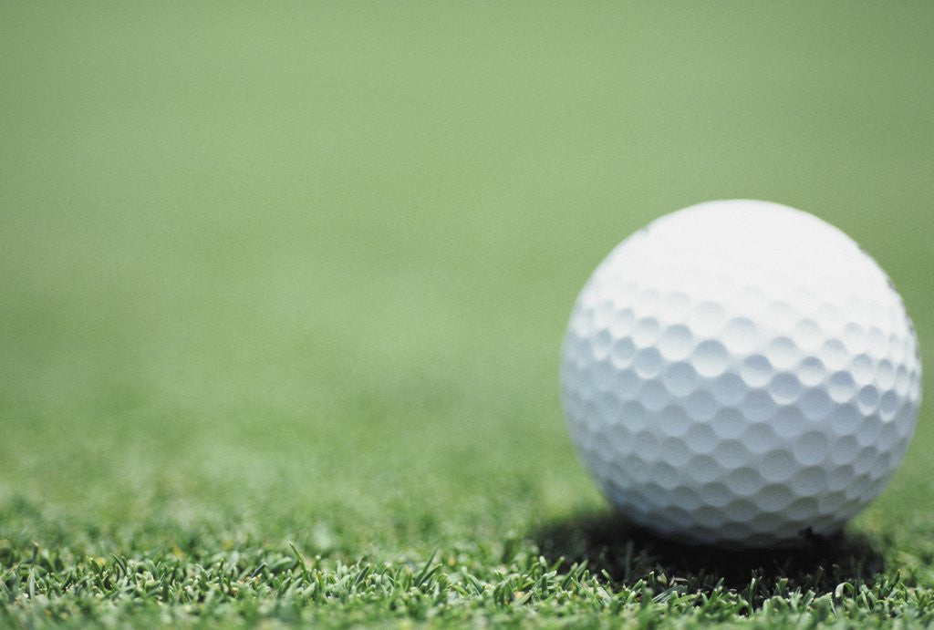 Detail of Golf Ball Sitting on the Green by Anonymous