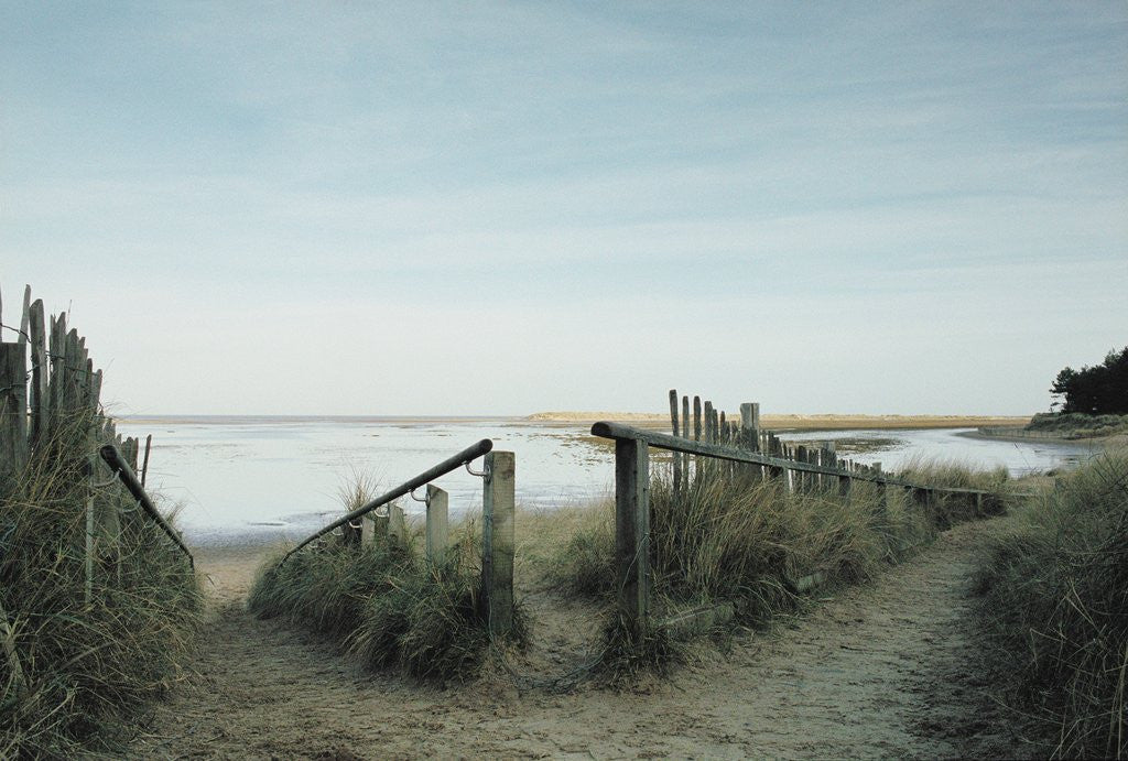 Detail of Railing Converging on a Beach by Anonymous