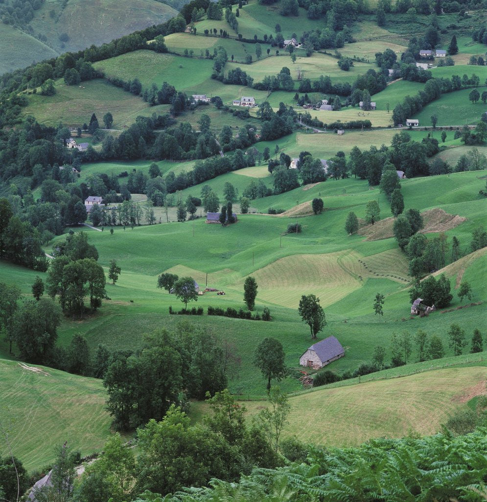 Detail of Aerial View of Countryside by Corbis