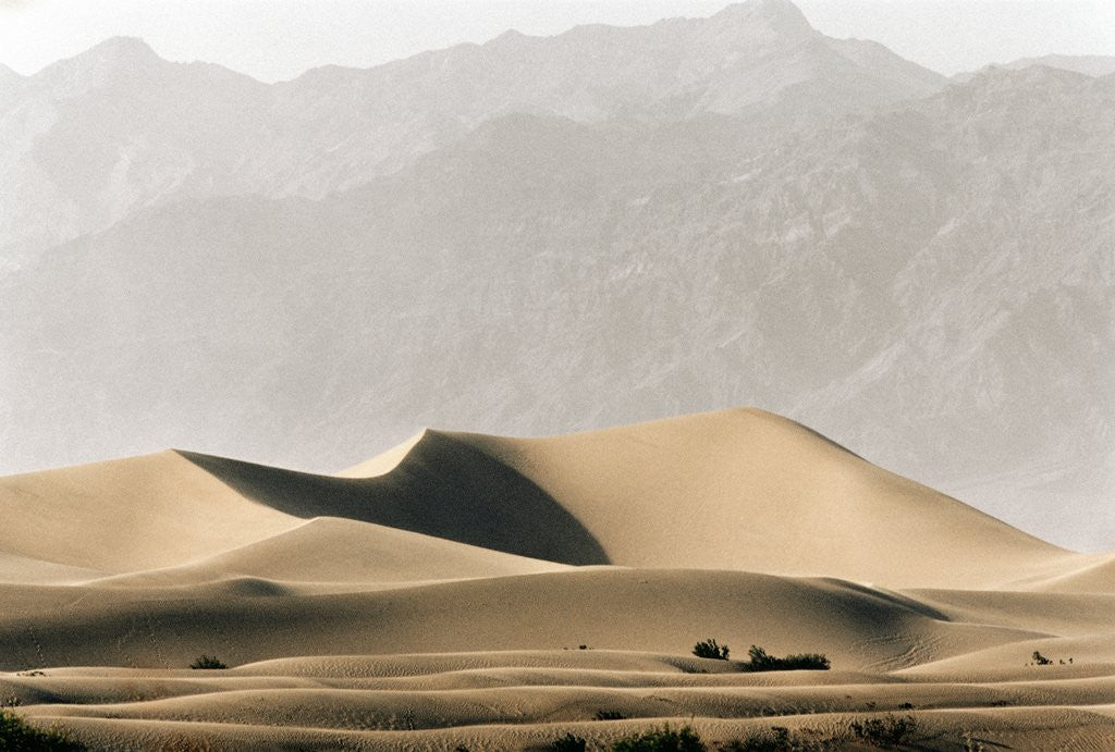 Detail of Dunes in the Desert by Anonymous