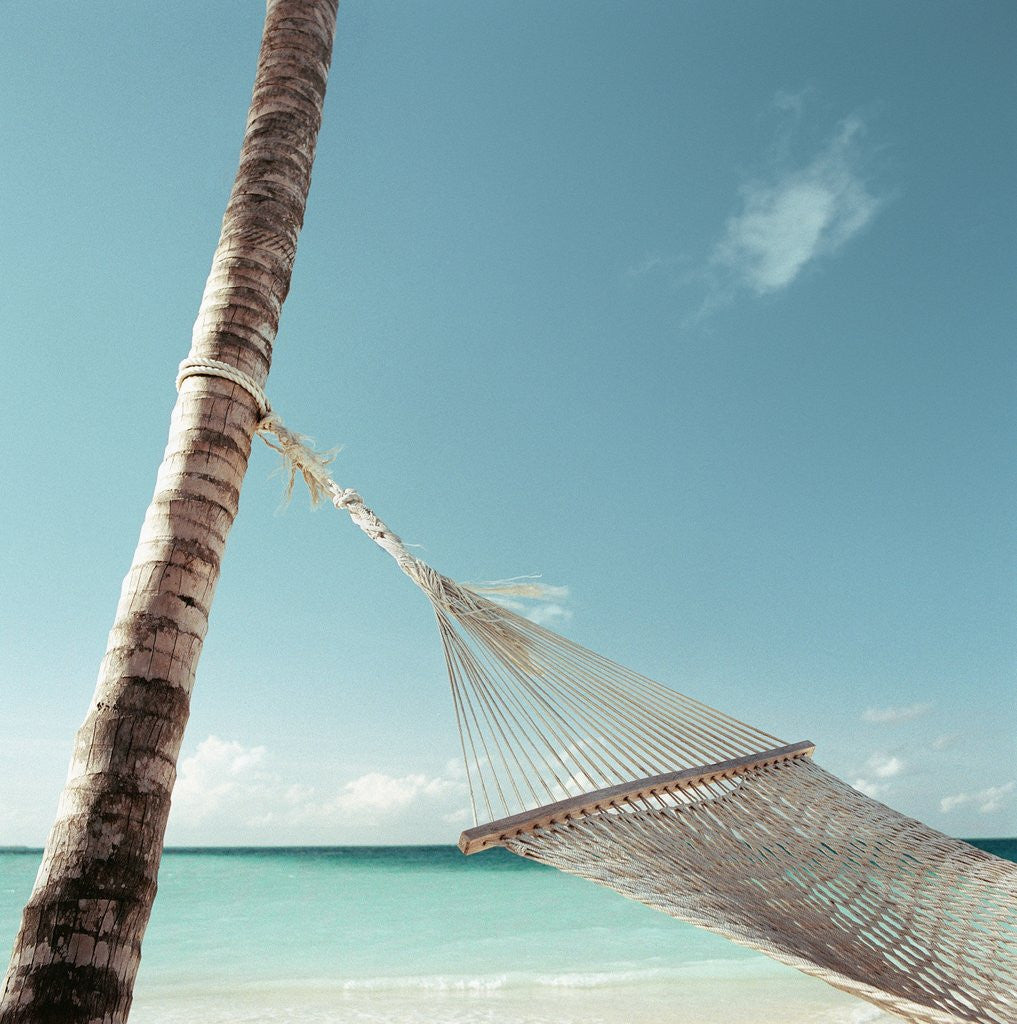 Detail of Hammock on Beach by Anonymous