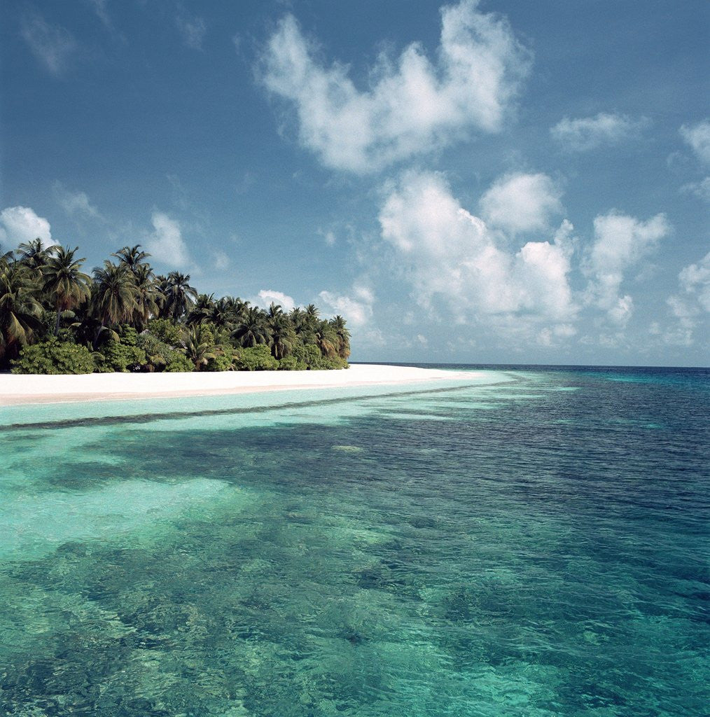 Detail of Shallow Water Near Beach by Anonymous