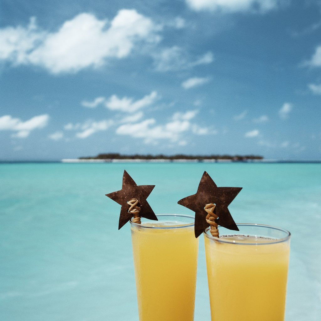 Detail of Tropical Cocktails by Anonymous