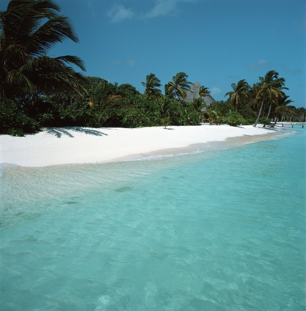 Detail of Shallow Water Near a Tropical Beach by Anonymous